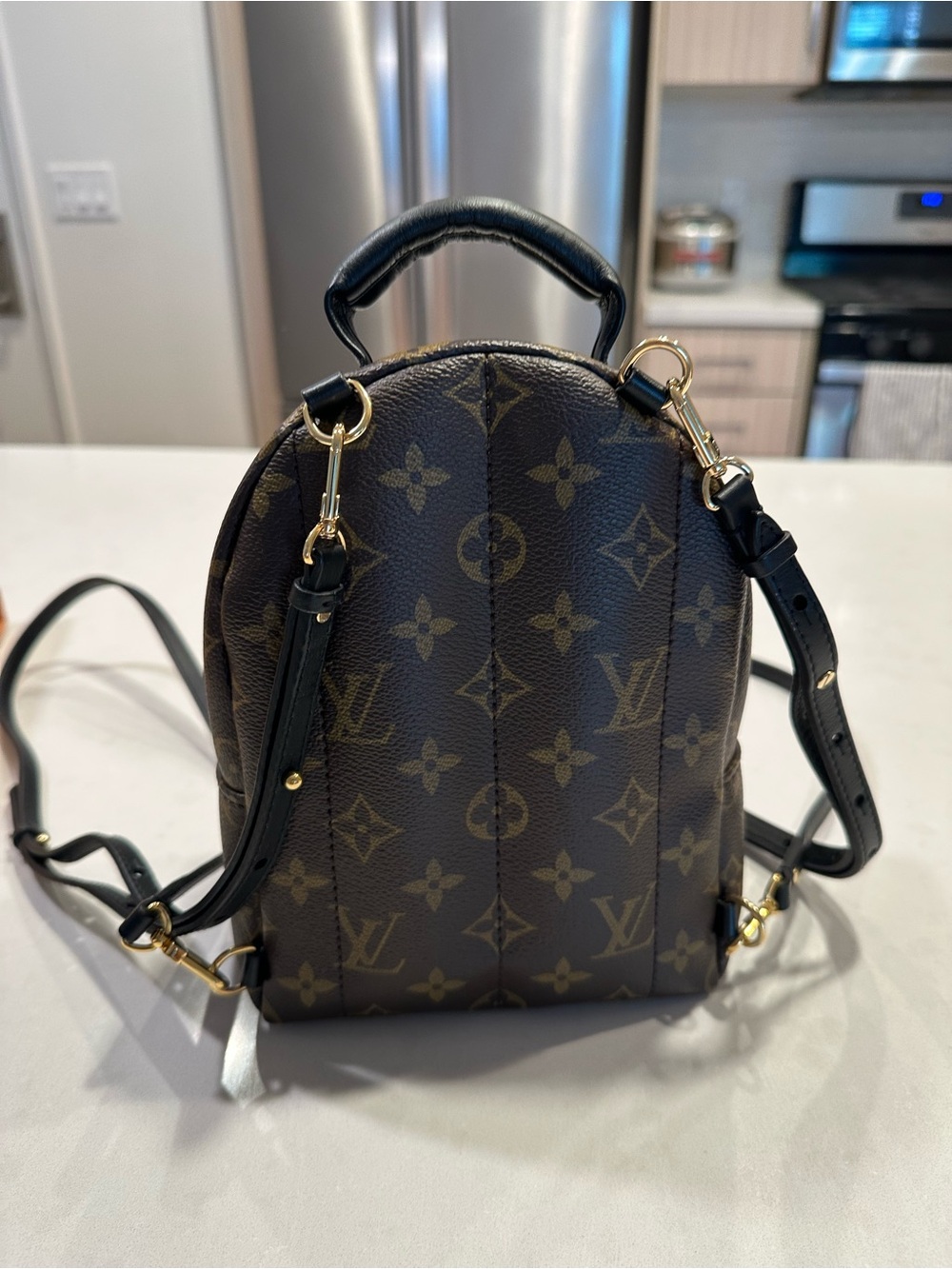 Louis Vuitton Monogram Palm Springs Mini Backpack with Black Scarf - Picture 3 of 6